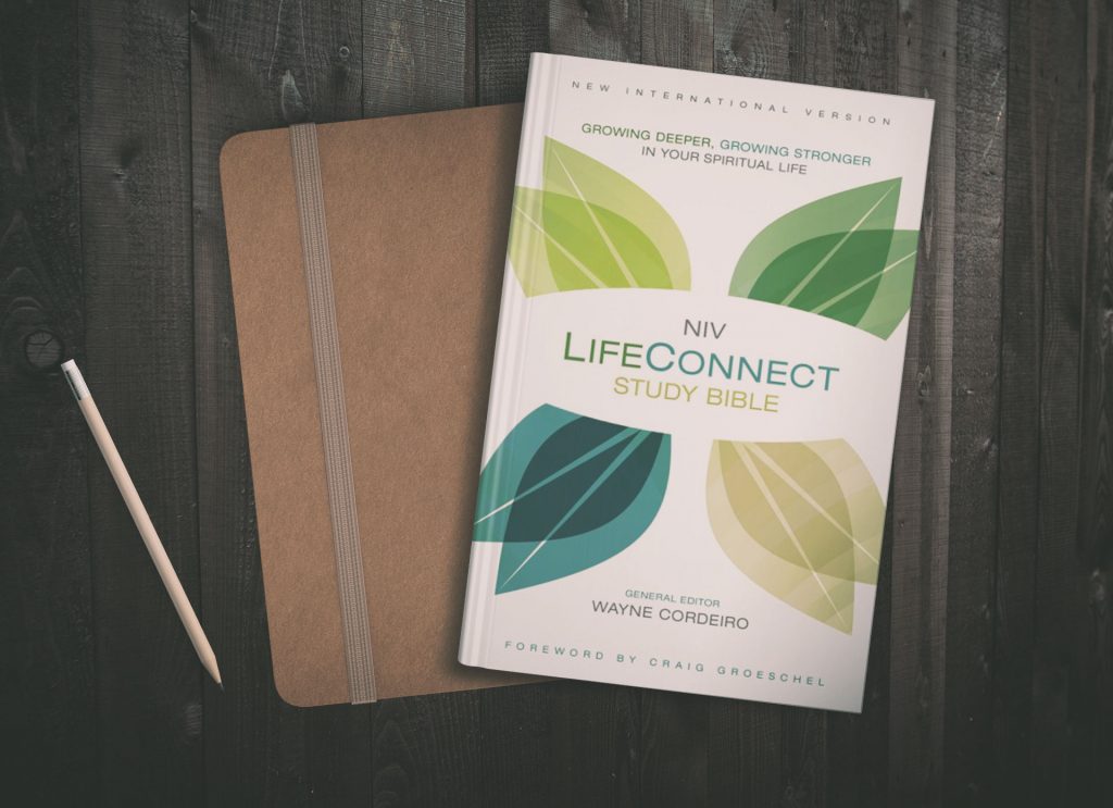 lifeconnect study bible cordeiro