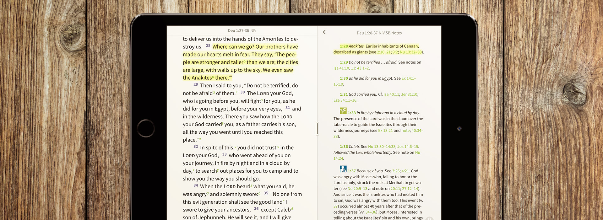 Note on the Anakites in the NIV Study Bible Notes
