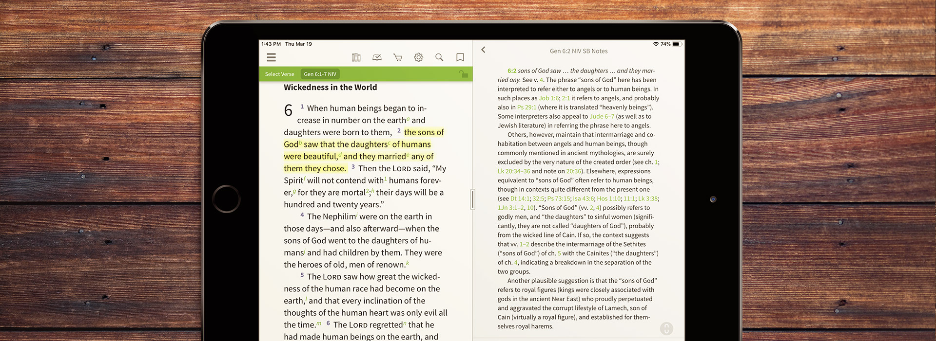 A long note from the NIV Study Bible on Genesis 6:2, the sons of God.