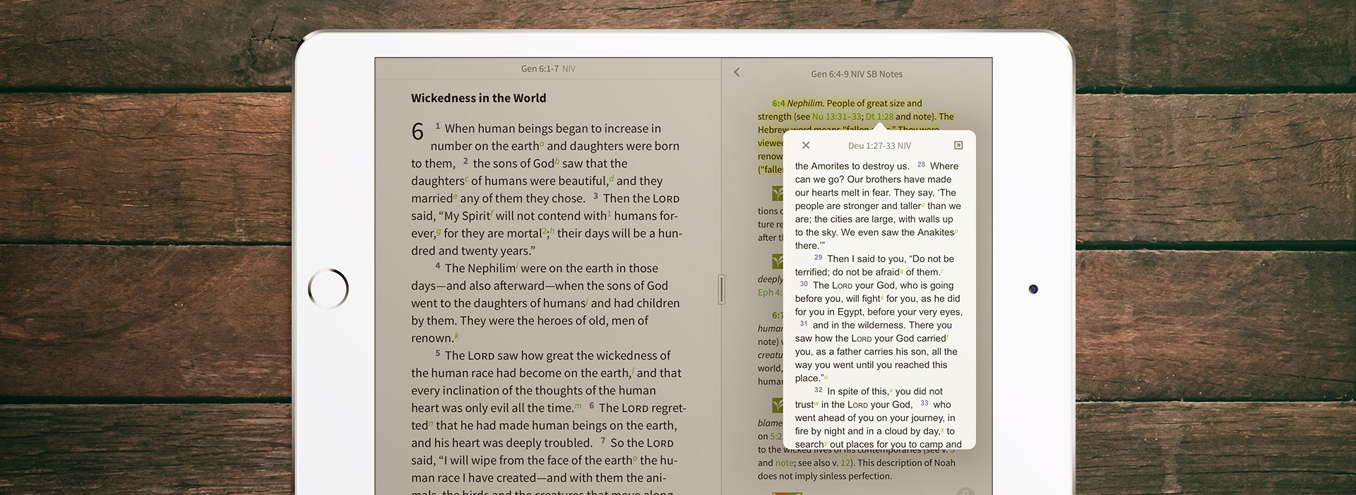 Pop up window in the Olive Tree Bible App