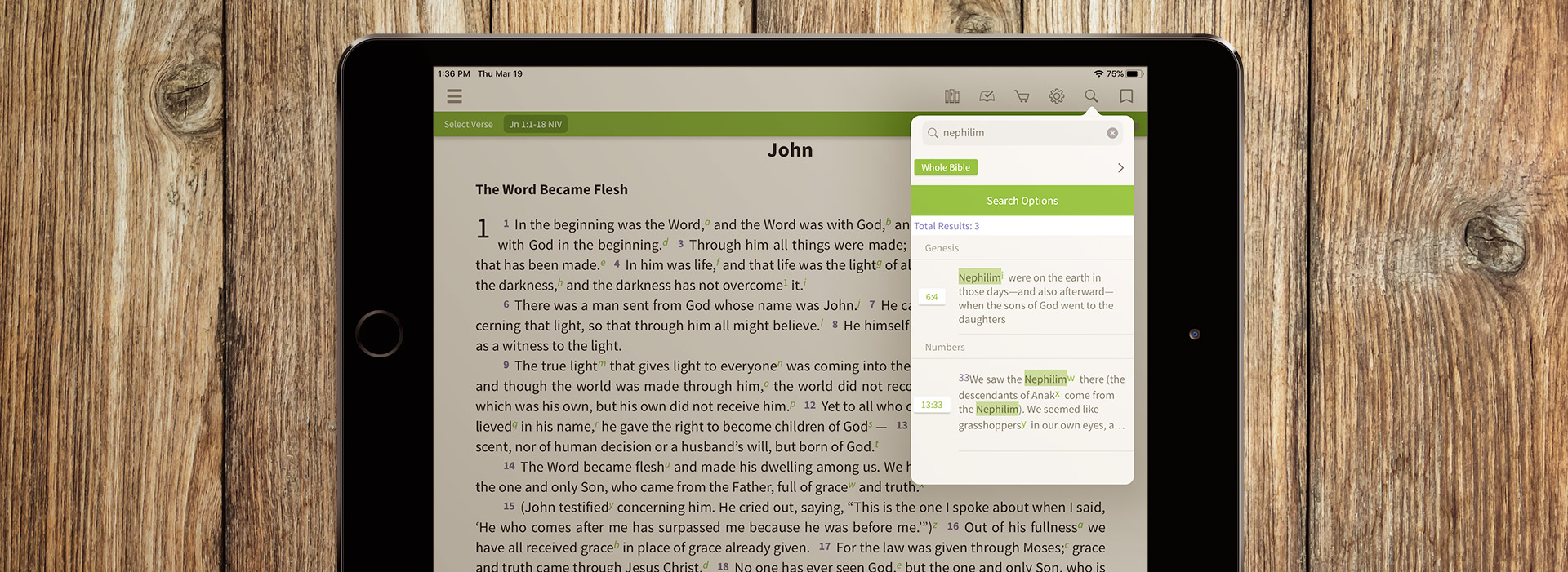 Olive Tree's Search feature looking for nephilim on an iPad