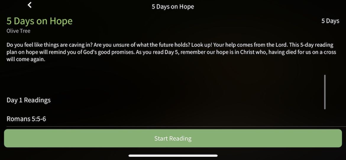 olive tree 5 days on hope audio bible