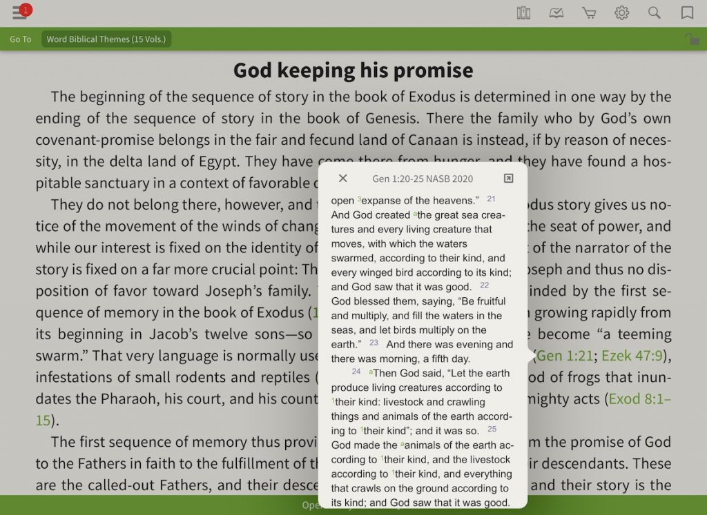 Exodus excerpt from Word Biblical Themes
