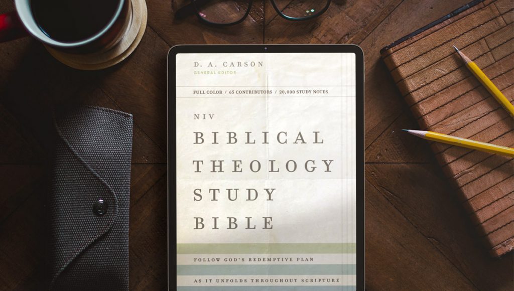 NIV Biblical Theology Study Bible love